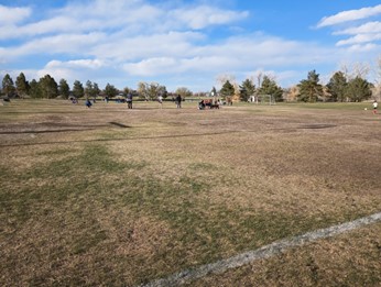 patchy grass field